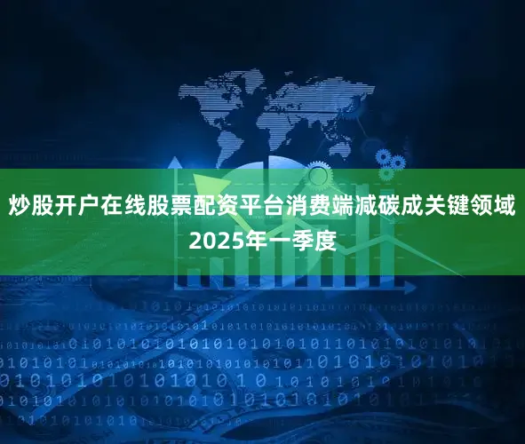 炒股开户在线股票配资平台消费端减碳成关键领域2025年一季度